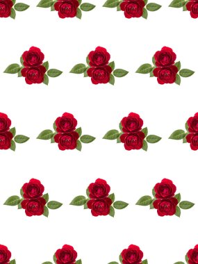 Beyaz arkaplanda yaprakları olan iki kırmızı gül. Çiçeksiz desen.