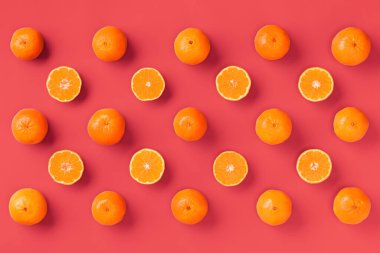 Canlı mercan arka plan taze portakal mandalina veya mandalina meyve desen. Düz yatıyordu, üstten bak. Pop art tasarımı, yaratıcı yaz konsepti. Minimal tarzda narenciye.