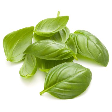 Beyaz arka plan closeup izole avuç fesleğen bitki yaprakları