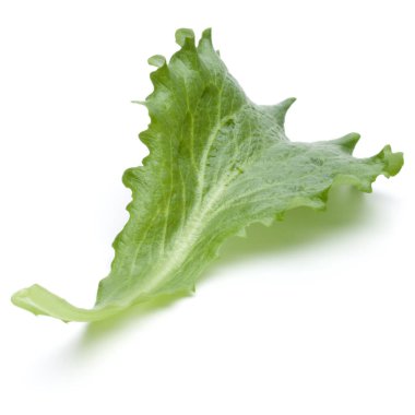 Stüdyo çekim taze yeşil hindiba salatası yaprak beyaz arka plan üzerinde izole kapatmak.