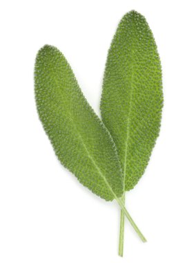 Adaçayı yaprakları üzerinde beyaz arka plan kesme izole.