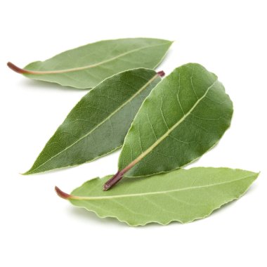 aromatik defne yaprağı üzerinde beyaz bir arka plan kesme izole