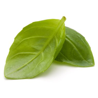 Beyaz arka plan closeup izole fesleğen bitki yaprakları