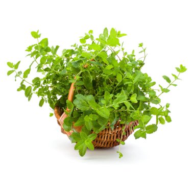 Beyaz arka planda izole edilmiş taze naneli hasır sepeti.