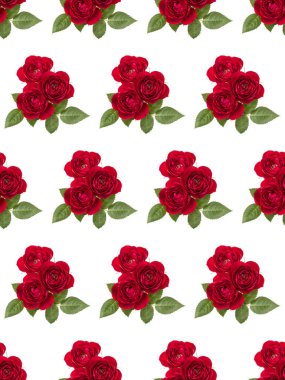 Beyaz arka planda yeşil yapraklı kırmızı gül buketi. Çiçeksiz desen.