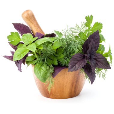 Taze baharatlar ve otlar üzerinde beyaz arka plan kesme izole ahşap harç. Reyhan, kırmızı fesleğen yaprağı, dereotu ve maydanoz.