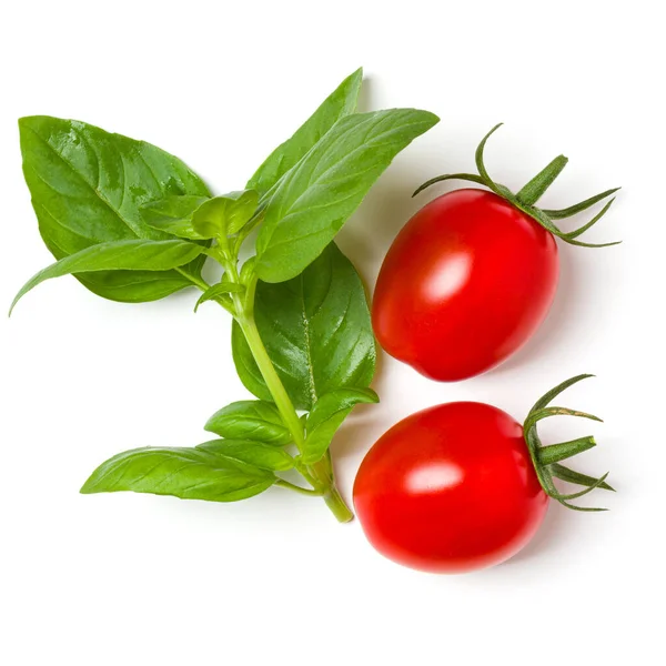 Tomates Rojos Hojas Albahaca Aisladas Sobre Fondo Blanco Vista Superior —  Fotos de Stock