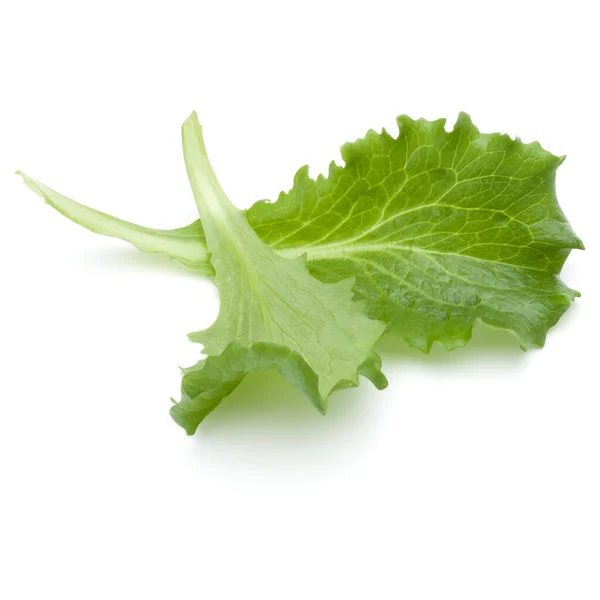 Close Estúdio Tiro Folha Salada Verde Fresco Mergulho Isolado Fundo — Fotografia de Stock