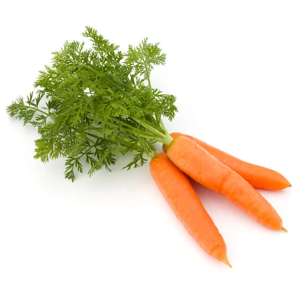 Морковный Овощ Листьями Выделенными Белом Фоне — стоковое фото