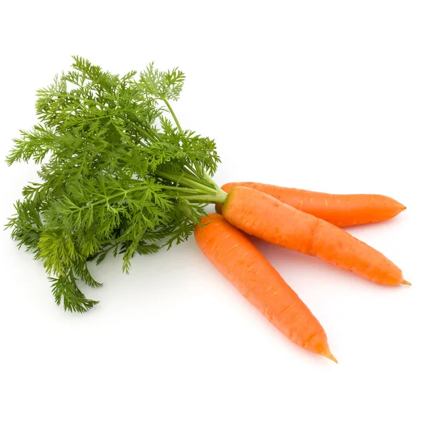 Carrot Vegetable Leaves Isolated White Background Cutout — Stock Photo, Image