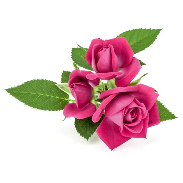Pink Rose Flower Bouquet Isolated White Background Cutout — Stock Photo, Image