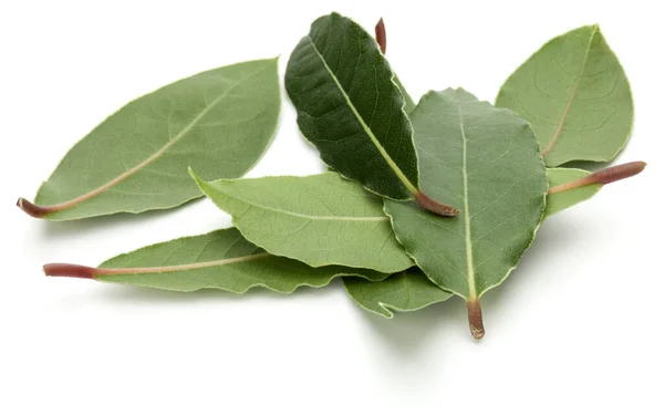 Hojas Laurel Aromáticas Aisladas Sobre Fondo Blanco Recorte —  Fotos de Stock