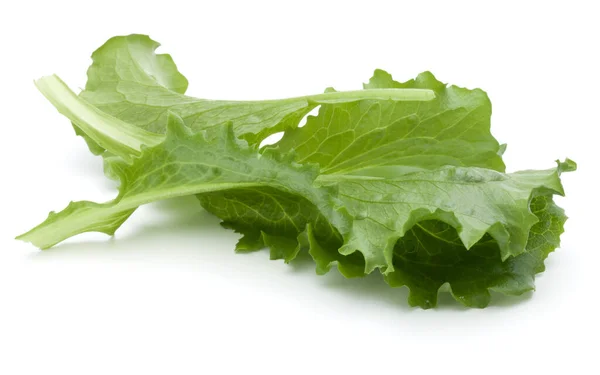 Close Estúdio Tiro Folha Salada Verde Fresco Mergulho Isolado Fundo — Fotografia de Stock