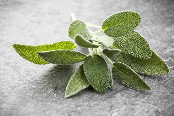 Sage Leaves Black Stone Background Top View — Stock Photo, Image