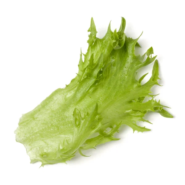 Fresh Frillice Iceberg Leaf Salad Isolated White Background Top View — Stock Photo, Image