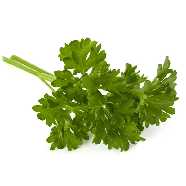 Parsley Leaves Bunch Isolated White Background Cutout — Stock Photo, Image