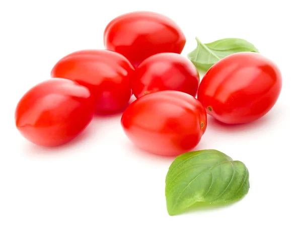 Fresh Plum Tomato Basil Leaf Isolated White Background — Stock Photo, Image
