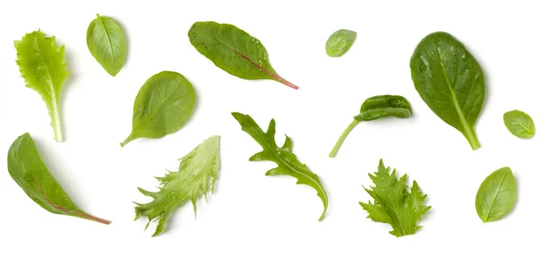 Creative Layout Made Lettuce Salad Leaves Flat Lay Top View — Stock Photo, Image