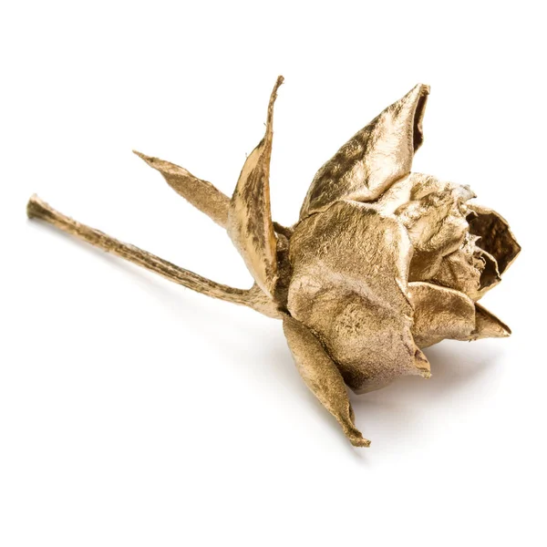 Одна Золотая Роза Выделена Белом Фоне Золотой Высушенный Цветок Романтическая — стоковое фото
