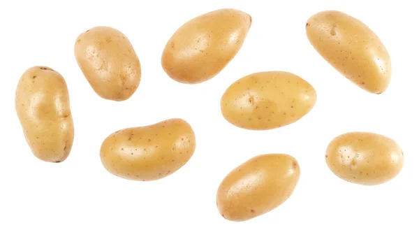 Картошка Изолирована Белом Фоне Вид Сверху Плоский Узор Картофель Воздухе — стоковое фото