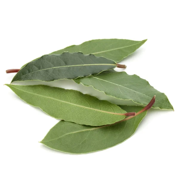 Aromatiska Lagerblad Isolerad Vit Bakgrund Cutout — Stockfoto