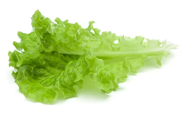 Fresh Green Lettuce Salad Leaves Isolated White Background — Stock Photo, Image