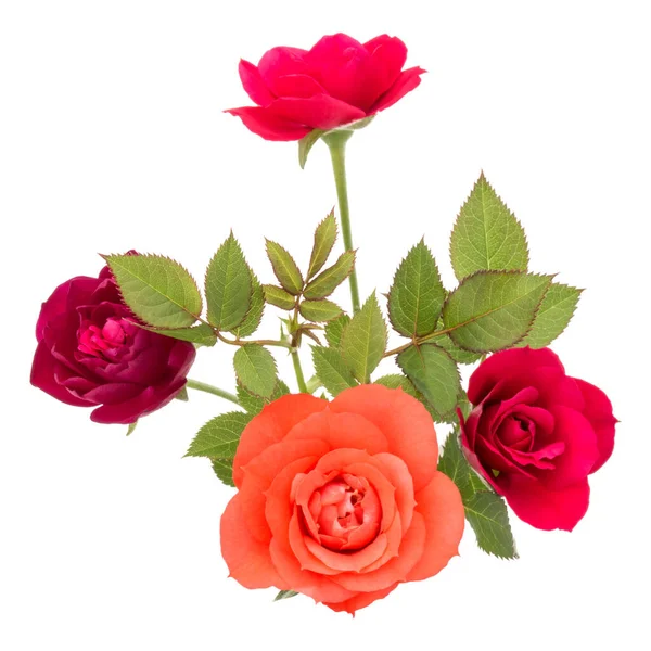 Πολύχρωμο Τριαντάφυλλο Μπουκέτο Πράσινα Φύλλα Που Απομονώνονται Λευκό Φόντο Cutout — Φωτογραφία Αρχείου