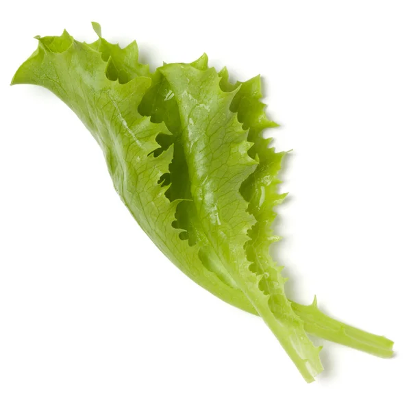 Lettuce Leaf Salad Isolated White Background Top View Flat Lay — Stock Photo, Image