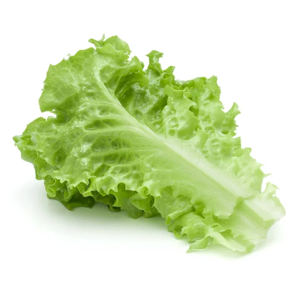 鲜绿色生菜沙拉叶子 白色背景隔离 — 图库照片