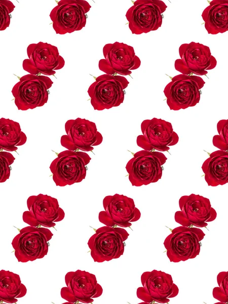 Dwa Czerwone Kwiaty Róż Izolowane Nad Białym Wycięciem Tła Wzór — Zdjęcie stockowe