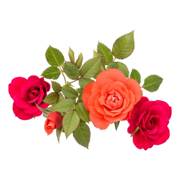 Ramo Flores Color Rosa Con Hojas Verdes Aisladas Recorte Fondo — Foto de Stock