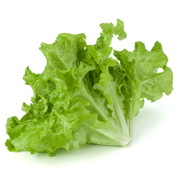 Friss Zöld Saláta Saláta Levelek Elszigetelt Fehér Alapon — Stock Fotó