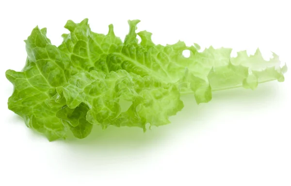 Fresh Green Lettuce Salad Leaves Isolated White Background — Stock Photo, Image