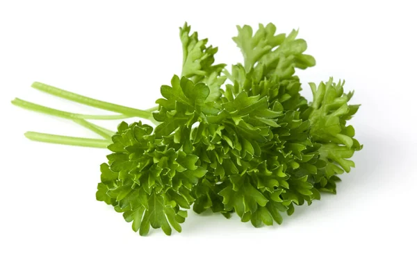 Parsley Leaves Bunch Isolated White Background Cutout — Stock Photo, Image