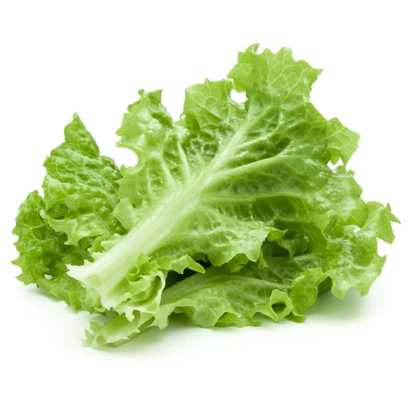 Friss Zöld Saláta Saláta Levelek Elszigetelt Fehér Háttér — Stock Fotó