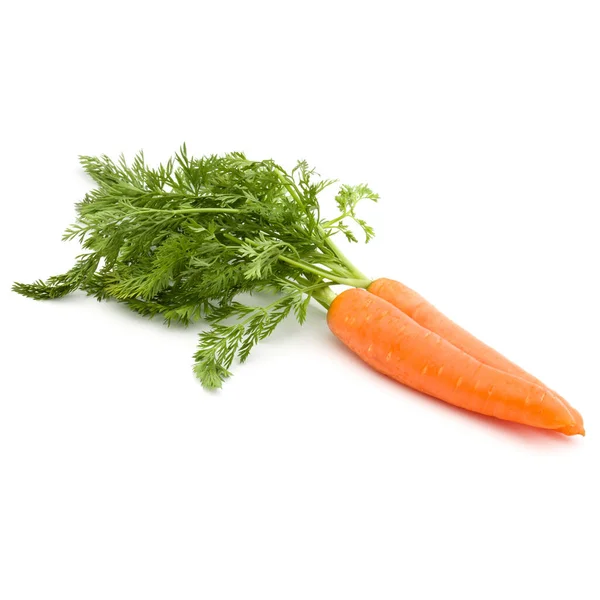 Zanahoria Vegetal Con Hojas Aisladas Sobre Fondo Blanco Recorte —  Fotos de Stock