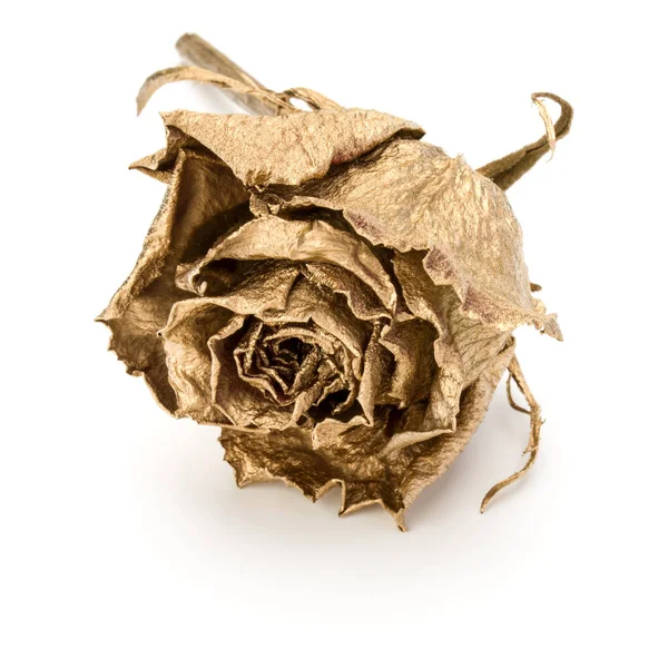 Ένα Χρυσό Τριαντάφυλλο Απομονωμένο Λευκό Φόντο Χρυσή Αποξηραμένη Κεφαλή Λουλουδιών — Φωτογραφία Αρχείου