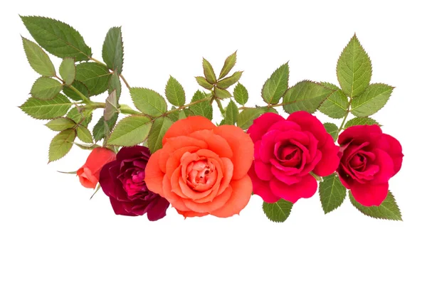 Colorato Bouquet Fiori Rosa Con Foglie Verdi Isolate Sfondo Bianco — Foto Stock