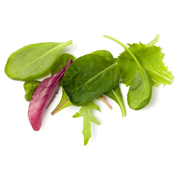 Verschillende Salade Bladeren Handvol Geïsoleerd Witte Achtergrond Bovenaanzicht Vlak Lay — Stockfoto
