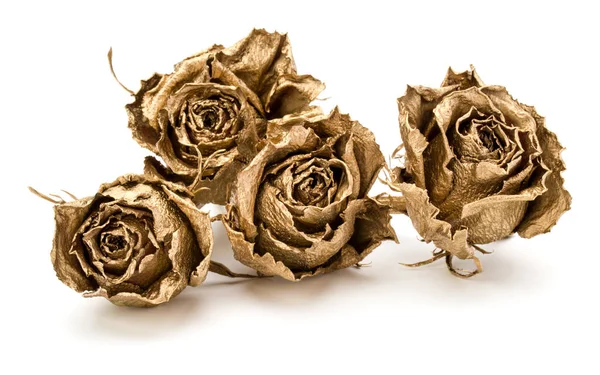 Białym Tle Białe Tło Wyłącznik Złote Róże Golden Suszone Kwiat — Zdjęcie stockowe