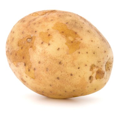 Beyaz arka plan üzerinde kesme izole yeni patates yumru..