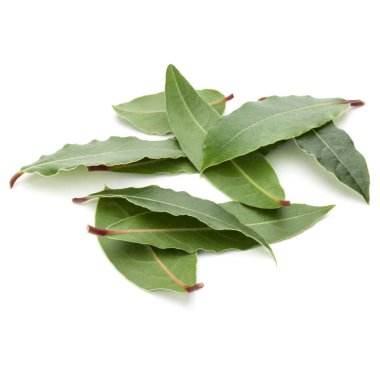 aromatik defne yaprağı üzerinde beyaz bir arka plan kesme izole