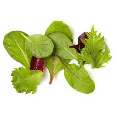 Farklı salata beyaz arka plan üzerinde izole avuç bırakır. Üst görünüm, düz yatıyordu.