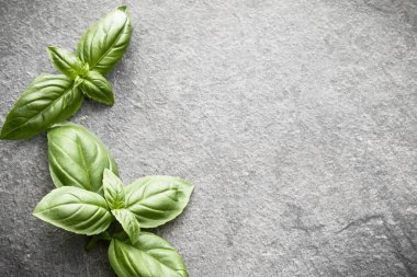 Reyhan gri taş arka plan üzerinde bırakır. Üstten Görünüm.