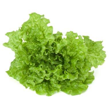 Beyaz arka planda taze yeşil marul salatası yaprakları