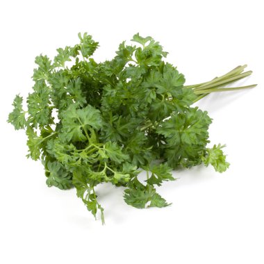 Beyaz arka plan kesme izole demet maydanoz yaprakları