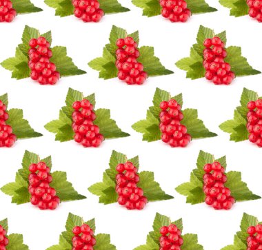 Kırmızı kuş üzümü beyaz arka plan kesim izole. Yaratıcı düzen, meyve dikişsiz desen.