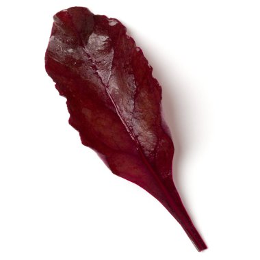 Beyaz arka planda bir avuç marul yaprağı var. Üst manzara, düz uzanma.