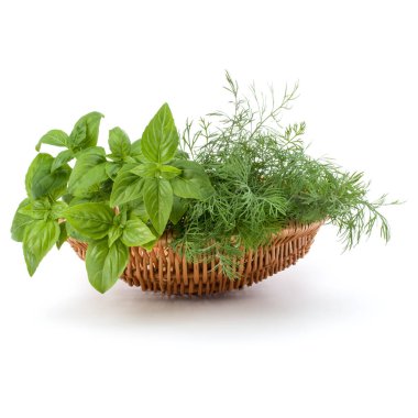 Hasır sepetteki taze baharatlar ve bitkiler beyaz arka planda izole edilmiş. Tatlı fesleğen yaprakları, dereotu.