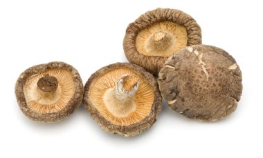 Beyaz arka plan üzerinde izole kurutulmuş shiitake mantar